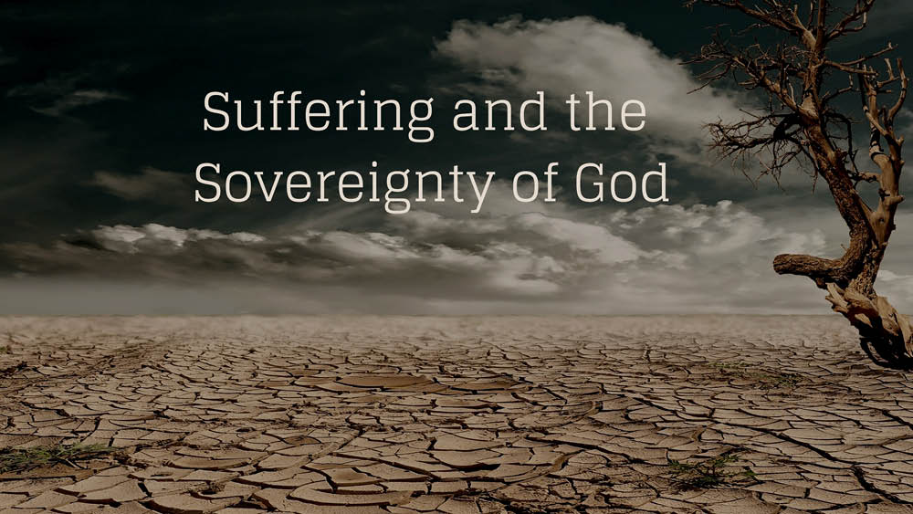 Suffering & the Sovereignty of God 中文翻译